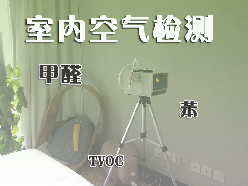 甲醛的草莓视频免费官网